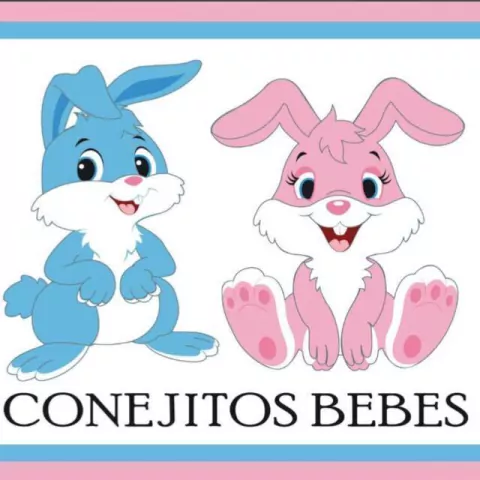 Conejitos Bebes
