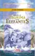 Manual Esgrima para elefantes - Javier Viveros