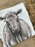 ANGUS - comprar online