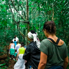 •	Aventura única na Amazônia Uma caminhada ecológica na selva envolve explorar trilhas em ambientes naturais, como áreas de preservação ambiental, para promover a conscientização ambiental.
•	explore o coração da maior floresta tropical do mundo e descubr