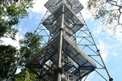 Torre do MUSA: Vista Inesquecível no Coração da Amazônia
Se você ama natureza e aventura, a torre do MUSA é parada obrigatória em Manaus. A subida pelos 242 degraus já é um convite à conexão com o ambiente, enquanto o topo recompensa com vistas deslumbran