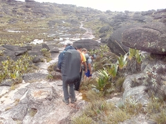 MONTE RORAIMA - loja online