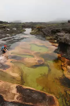 Roraima Mount in Venezuela, Brazil and Guyana - buy online