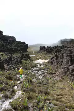 Roraima Mount in Venezuela, Brazil and Guyana - buy online