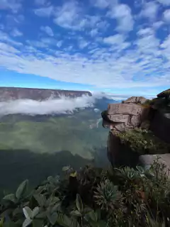 Roraima Mount in Venezuela, Brazil and Guyana - online store