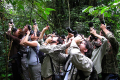 Descubra a maior floresta tropical do mundo, onde a natureza revela sua beleza e mistérios a cada passo. A Amazônia é o destino ideal para amantes da natureza, fotógrafos e viajantes em busca de uma conexão profunda com a vida selvagem.
Por que escolher a