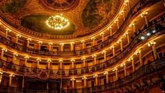 O Salão do Teatro Amazonas: Arte e História em Cada Detalhe
O salão interno do Teatro Amazonas é um verdadeiro monumento ao apogeu da cultura e riqueza amazônica no início do século XX. Ornado com lustres importados da Europa, cortinas de veludo vermelho 