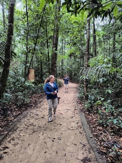 Mergulhe na Natureza selvagem da Amazônia os pêndices em locais únicos na selva, cercados por florestas intocadas e os sons da natureza. Sinta a harmonia com o mundo e descubra o coração da Amazônia. Uma aventura que você nunca vai esquecer. 