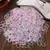 Conjunto De 1000 Piezas De Mini Ligas De Pelo Desechables De Nylon Coloridas Con Bolsa De Almacenamiento, Accesorios Elásticos Para El Cabello Para Ad - tienda en línea
