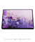 Imagem do Quadro Decorativo PURPLE HAZE