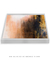 Quadro Decorativo ROSEGOLD - Danielnovais.art