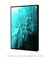 Imagem do Quadro Decorativo TURQUOISE1