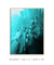 Quadro Decorativo TURQUOISE1 - comprar online