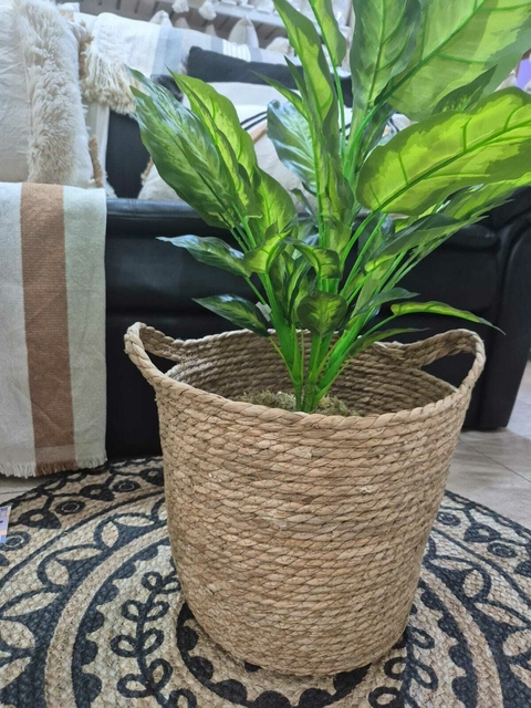 Canasto Seagrass Med: 30x34x 34 cm - comprar online