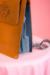 CARTERA OLSEN 61 en internet