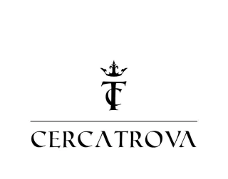 Cerca trova