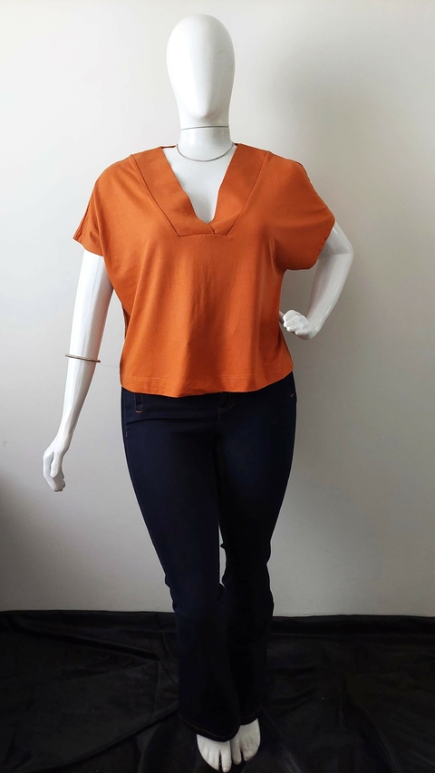 Blusa Terracota (M) - Hering