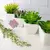 Kit Com 3 Plantas Artificiais Suculentas Com Mini Vaso De Cerâmica