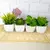 Kit Com 3 Plantas Artificiais Suculentas Com Mini Vaso De Cerâmica - loja online