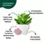 Kit Com 3 Plantas Artificiais Suculentas Com Mini Vaso De Cerâmica na internet
