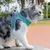 Coleira Peitoral Refletivo Com Guia Para Gatos: Segurança E Conforto - comprar online