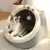 Cama House Aconchegante Para Gatos - comprar online