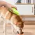 Escova A Vapor 3 em 1 Para Cães & Gatos