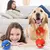 Bola Mágica Pula e Vira Disco Voador Com LED - Latimiado Pet Shop: Mais que uma loja, um verdadeiro amigo dos pets!