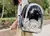Mochila De Transporte Ergonômica Para Gatos na internet