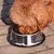 Comedouro Tigela Em Inox Para Cães - comprar online