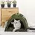 Casa Barraca De Acampamento Para Gatos - Aventura E Conforto - comprar online