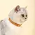 Coleira Em Couro Macio Para Gatos - comprar online