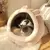 Cama House Aconchegante Para Gatos - loja online