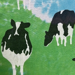 Camiseta Vintage Ben & Jerry's na internet