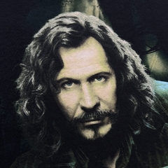 Camiseta Sirius Black Harry Potter 2005 - loja online