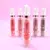 LIP GLOSS CON EFECTO PLUMPER en internet