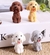 Borracha Cachorrinho Peludo