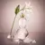 Imagem do LEAU DE LILY BLANCHE DEO COLÔNIA 75 ml