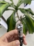 LASER PUNTERO RECARGABLE en internet