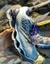 MIZUNO WAVE PROPHECY 8 na internet