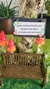 Banquinho no jardim - comprar online
