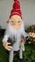 Gnomo da Sabedoria - Magnus Casa de Magia