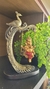 Ganesha no Balanço