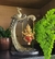 Ganesha no Balanço