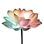 Tulipa I