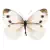Borboleta V
