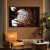 Flores de Protea e Algodão - buy online