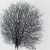 Coral Angra Preto Sem Vidro 60x80cm - comprar online
