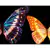 Borboleta III