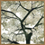 Gold Tree II